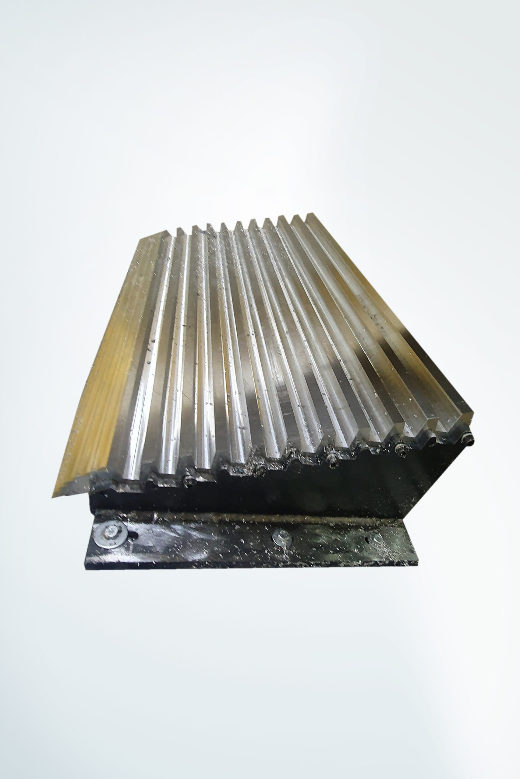 Nitera Mold Nis