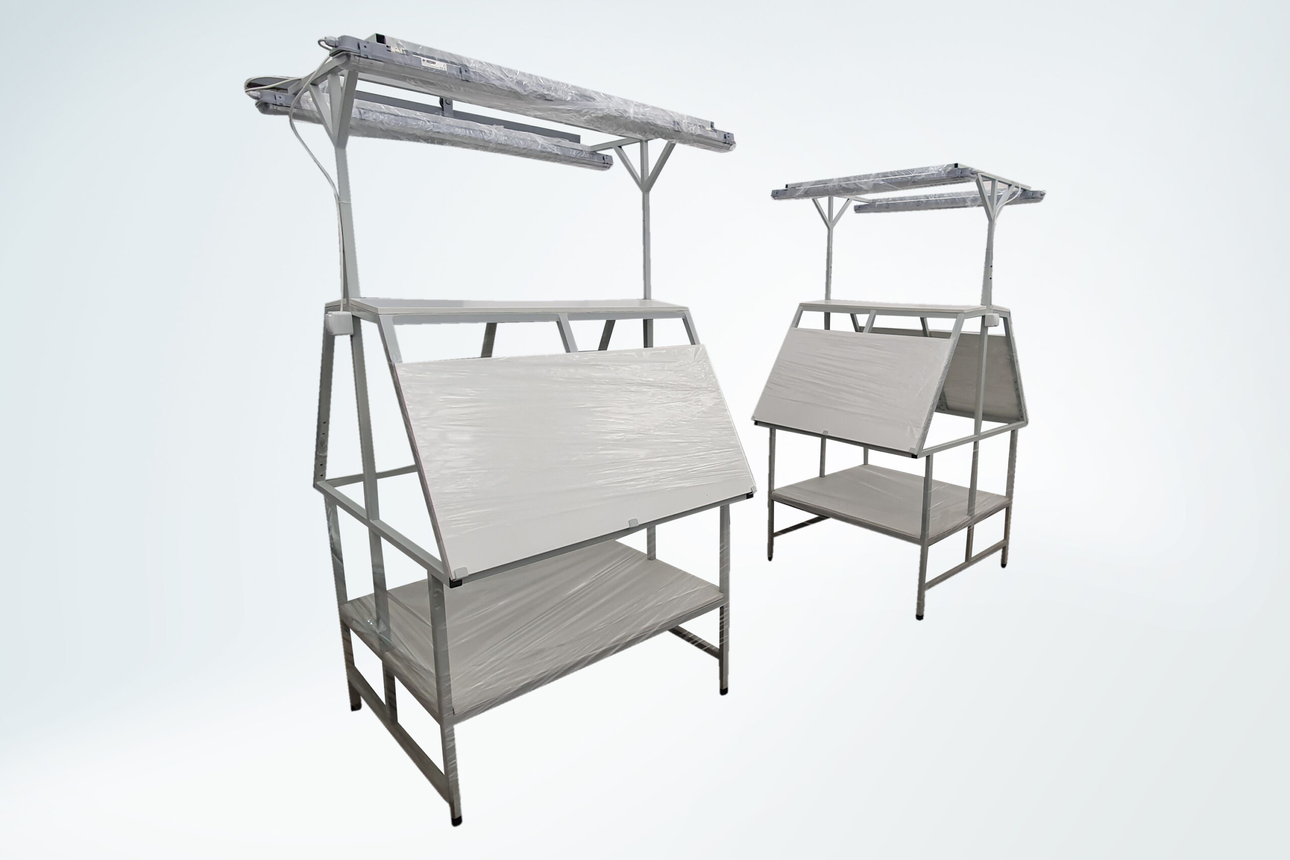 Nitera Mold Nis