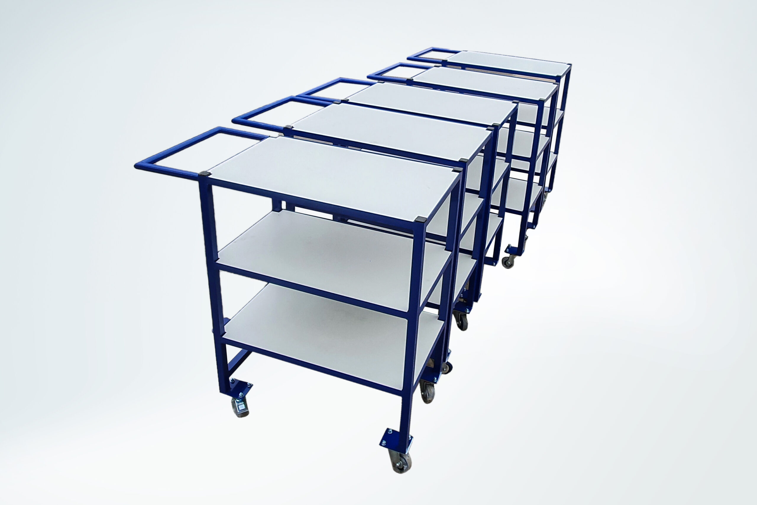 Nitera Mold Nis