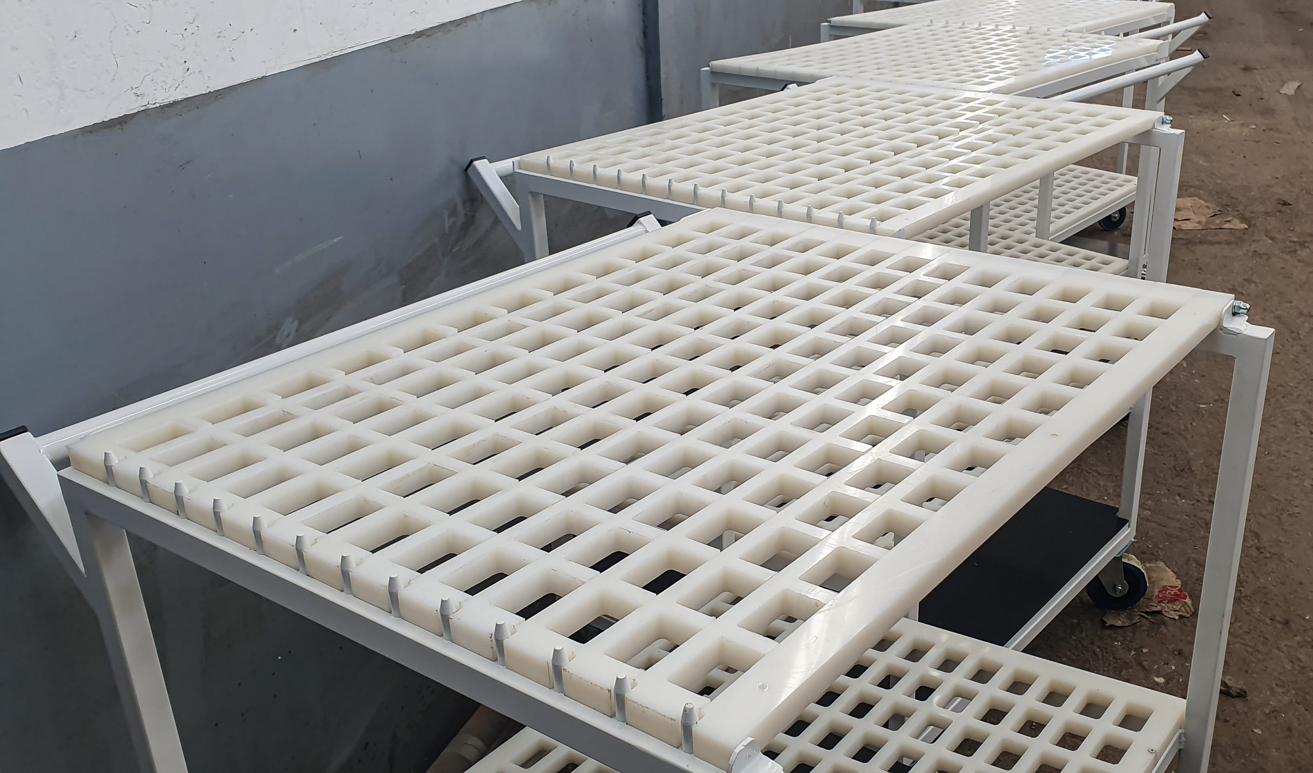 Nitera Mold Nis