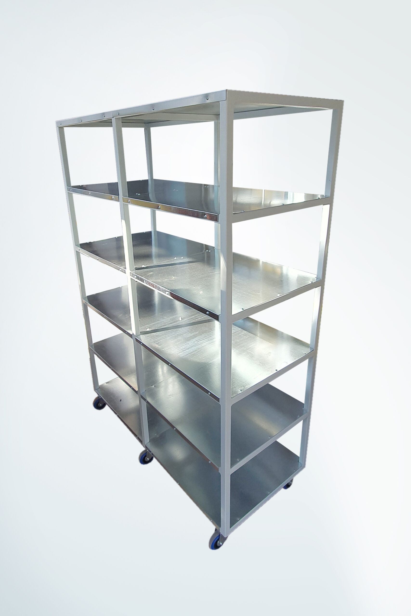 Nitera Mold Nis