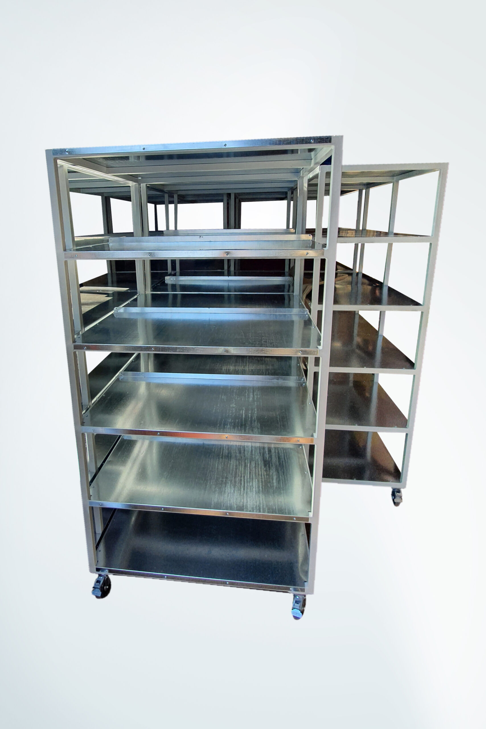 Nitera Mold Nis