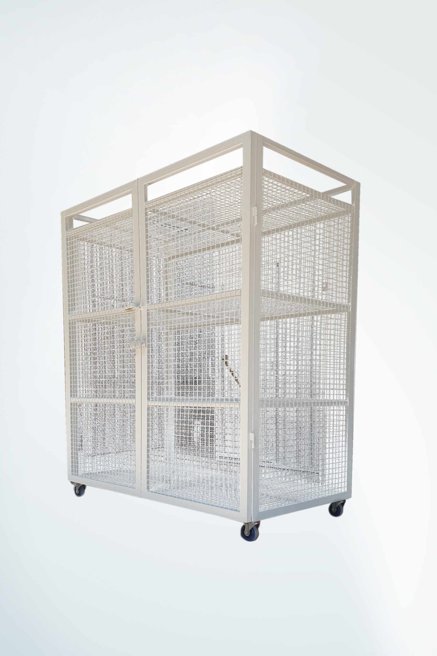 Nitera Mold Nis