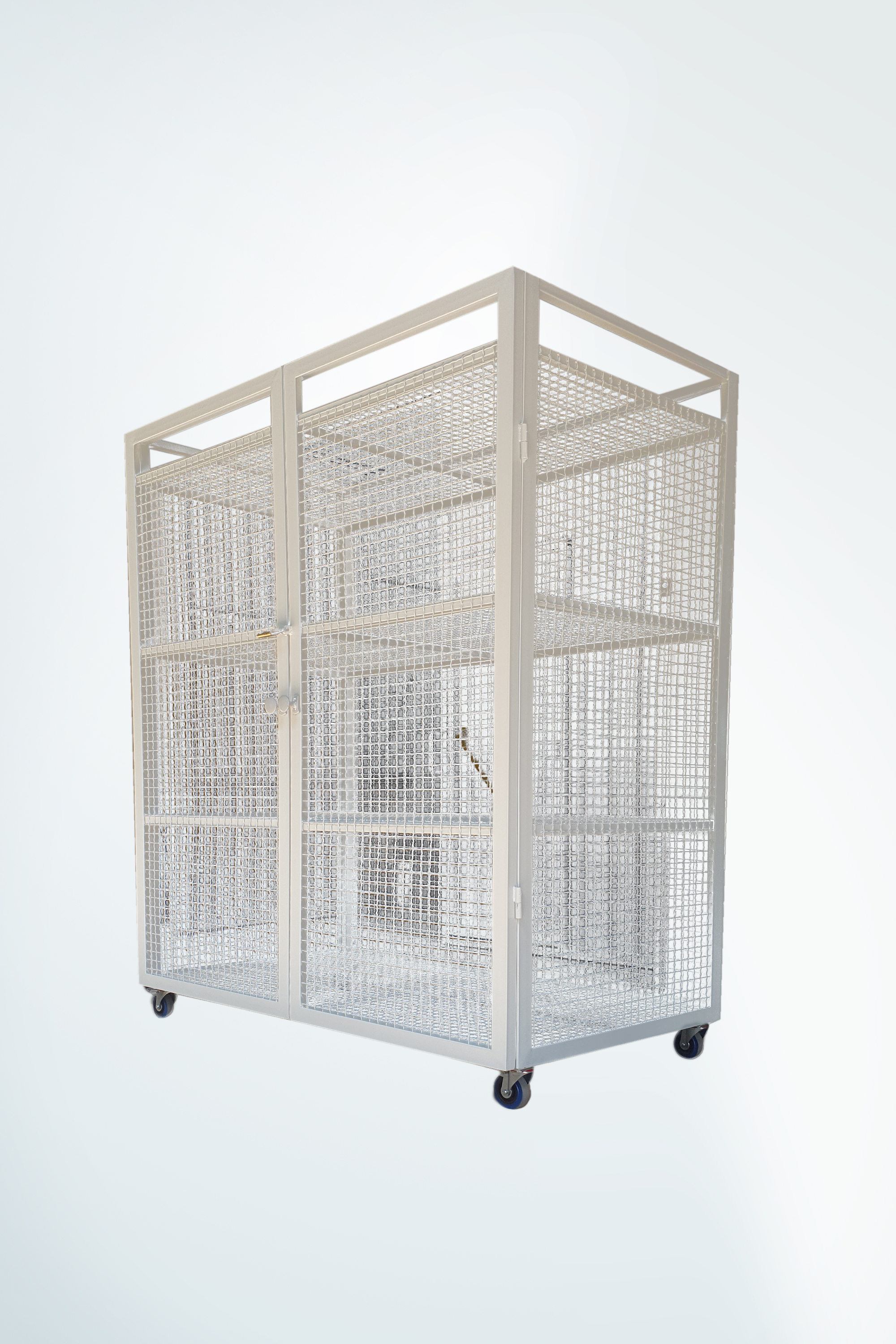 Nitera Mold Nis