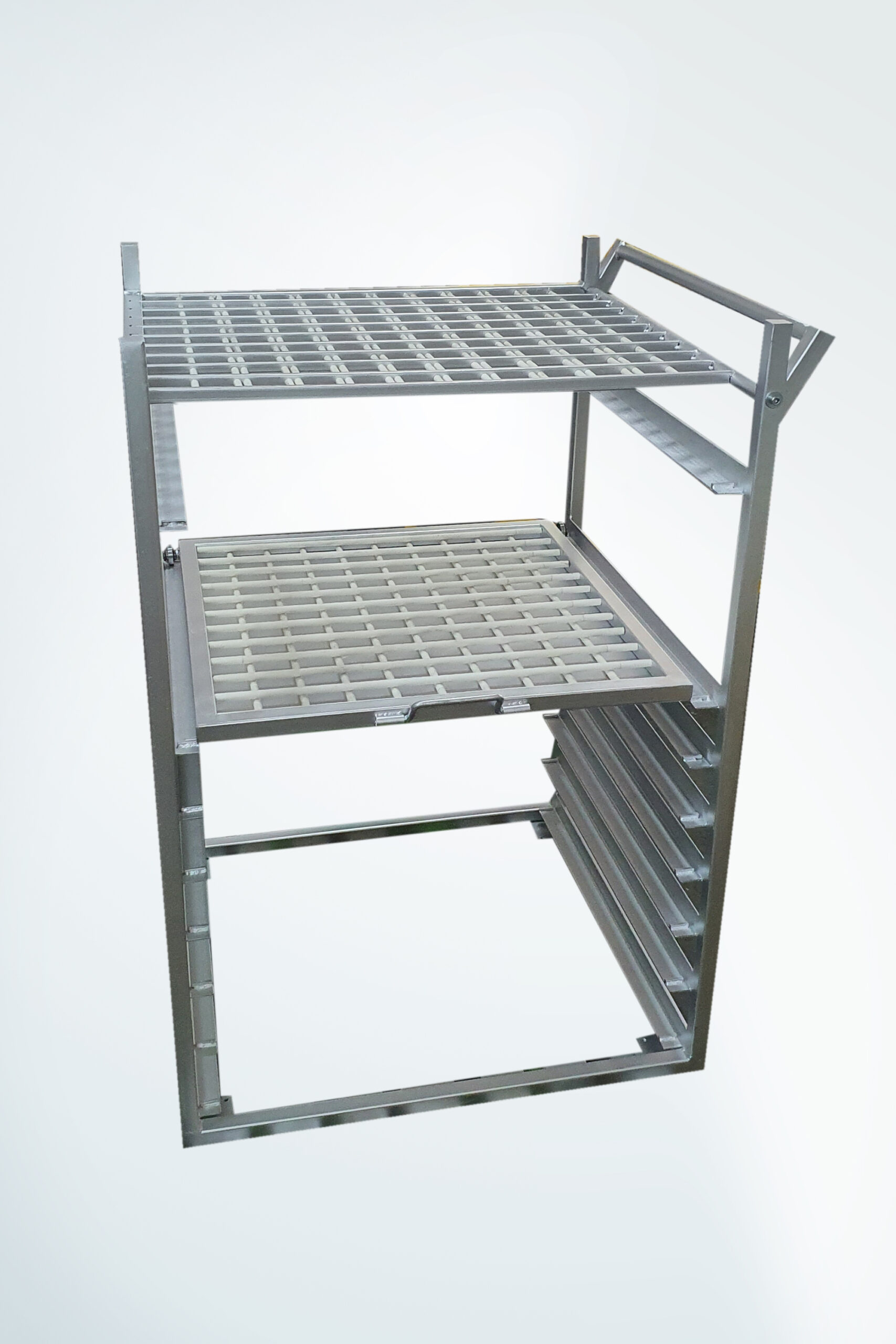 Nitera Mold Nis