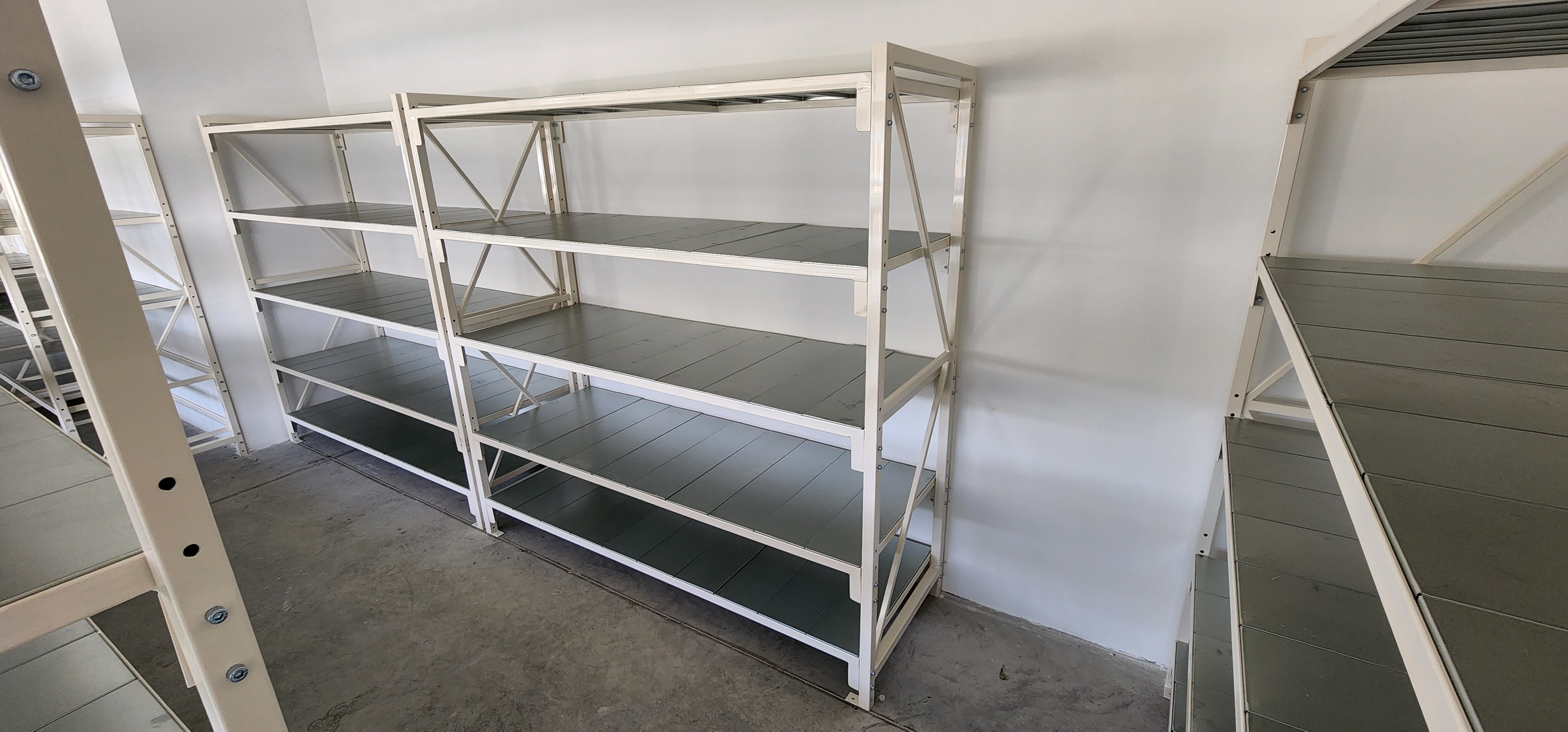 Nitera Mold Nis