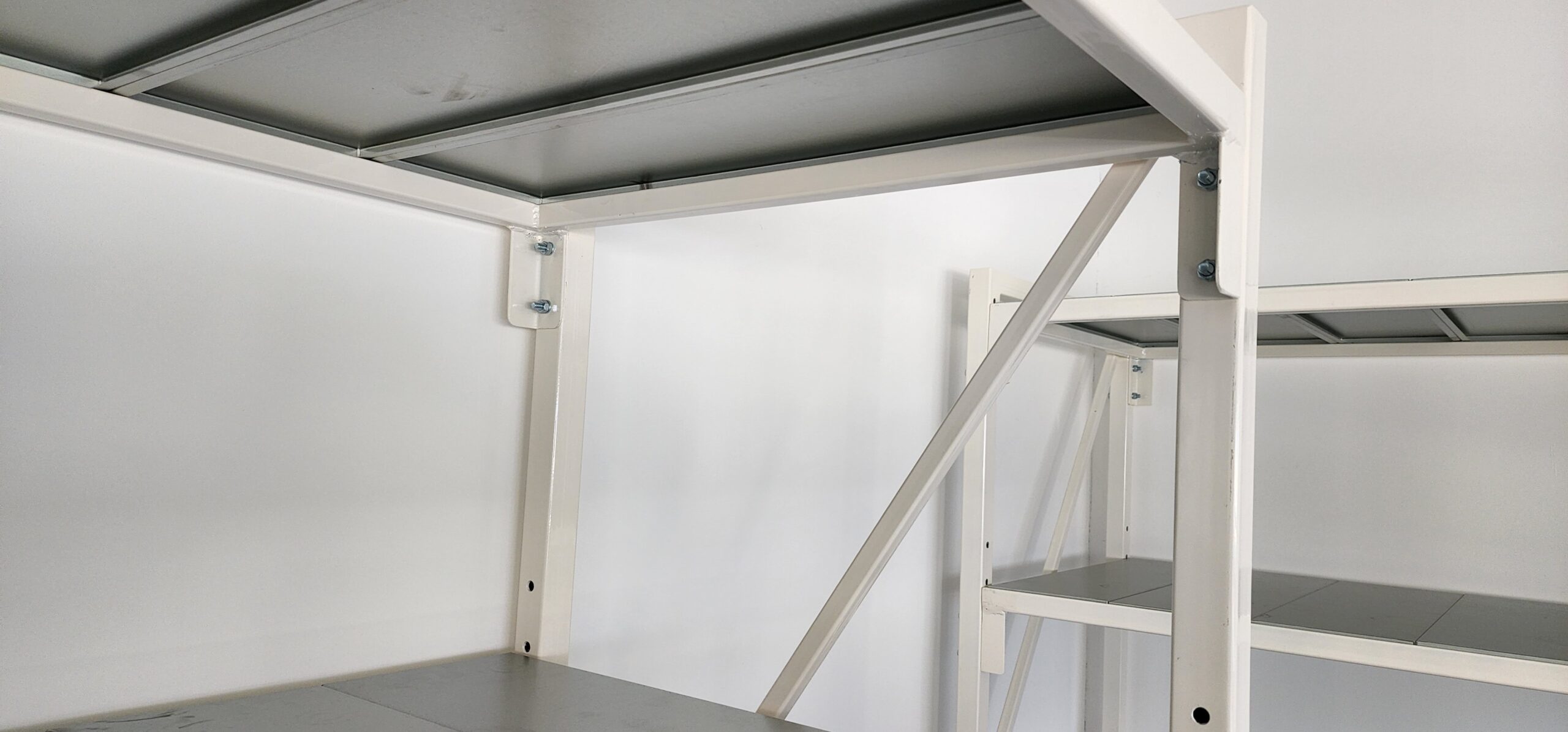 Nitera Mold Nis