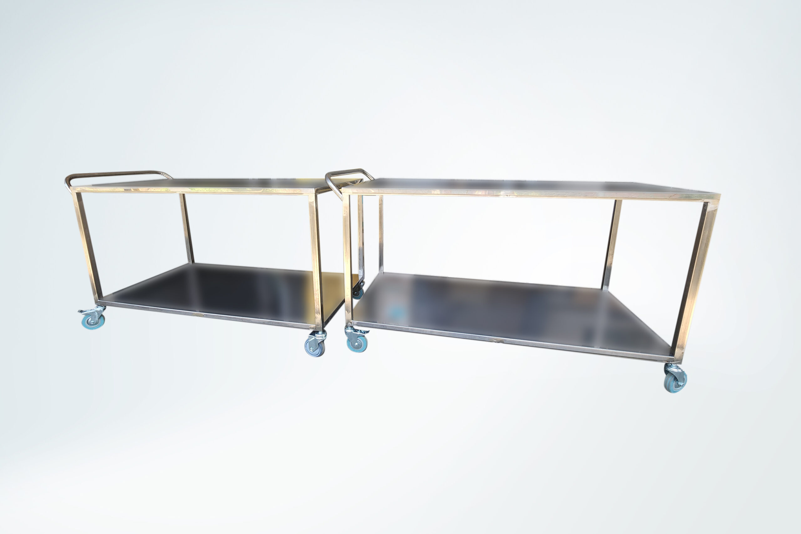 Nitera Mold Nis
