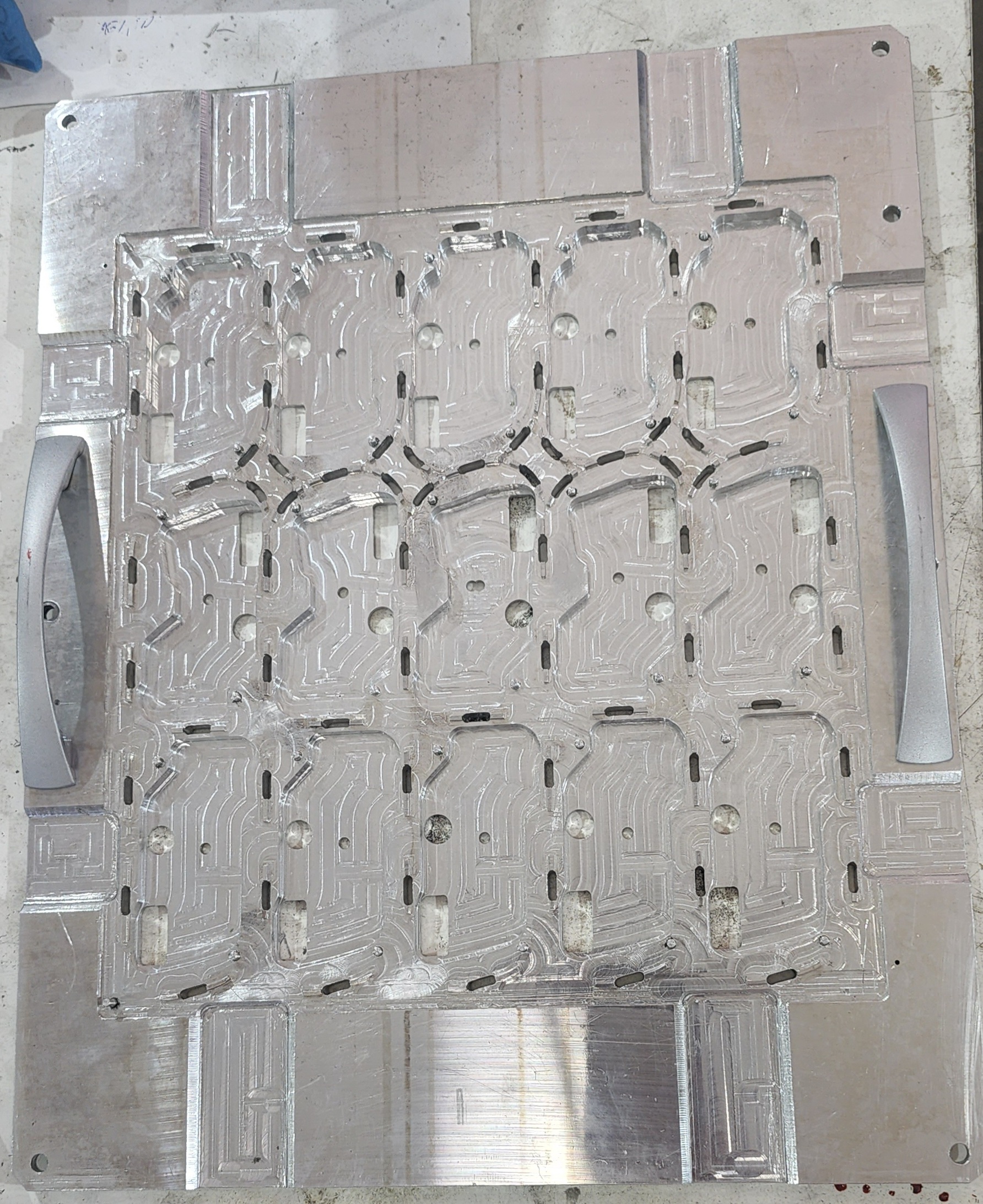Nitera Mold Nis