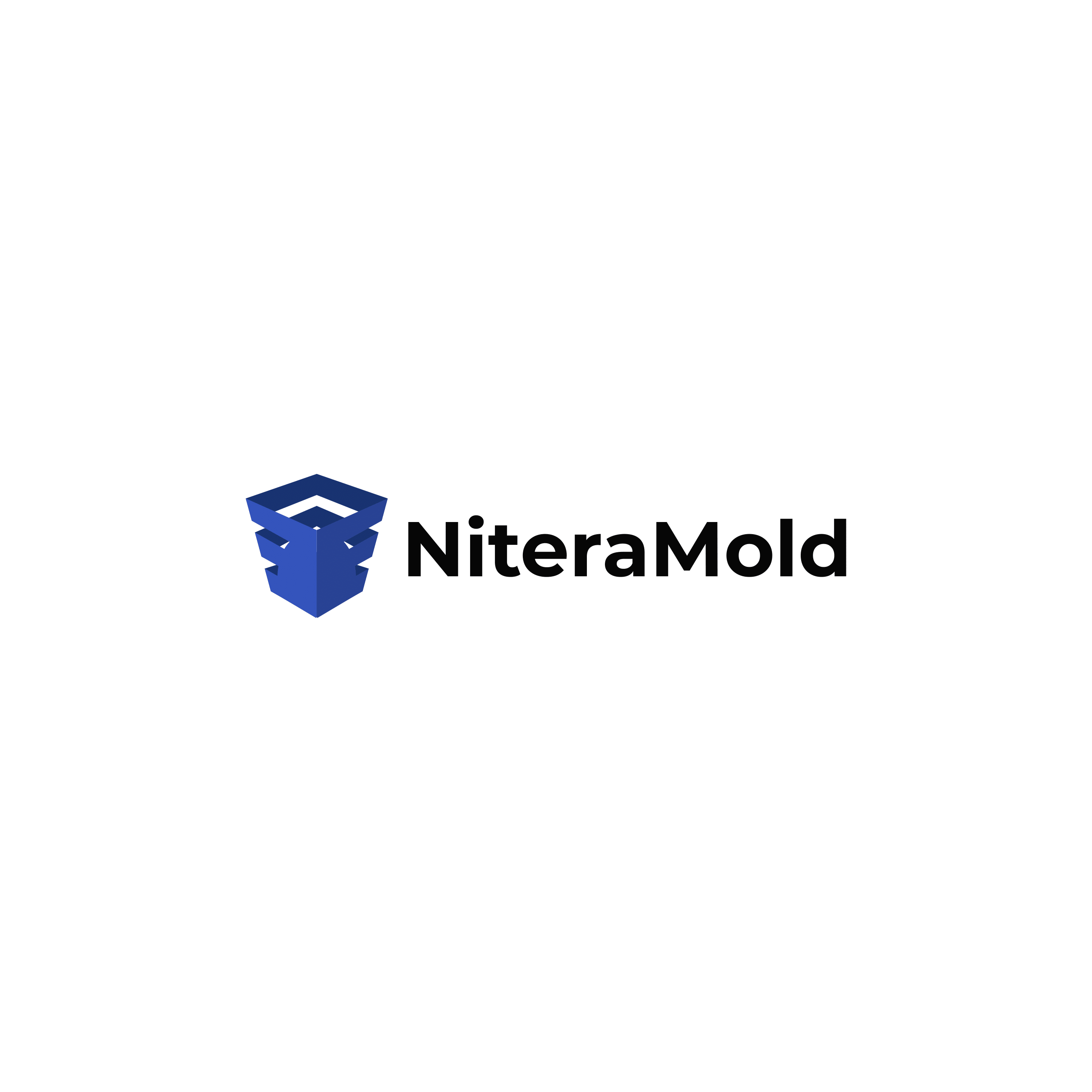 Nitera Mold Nis